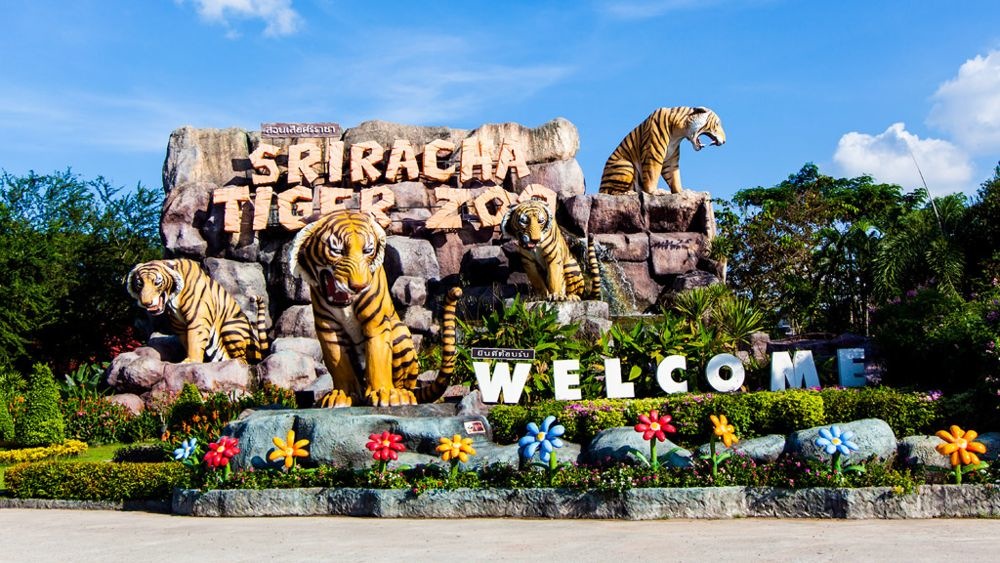Тайланд Экскурсии в Паттайе 2022. Тигровый зоопарк