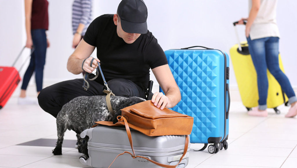 Strange bans: what needs to be removed from a suitcase before flight