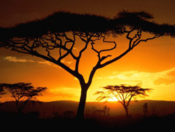 Горящие туры в Танзанию