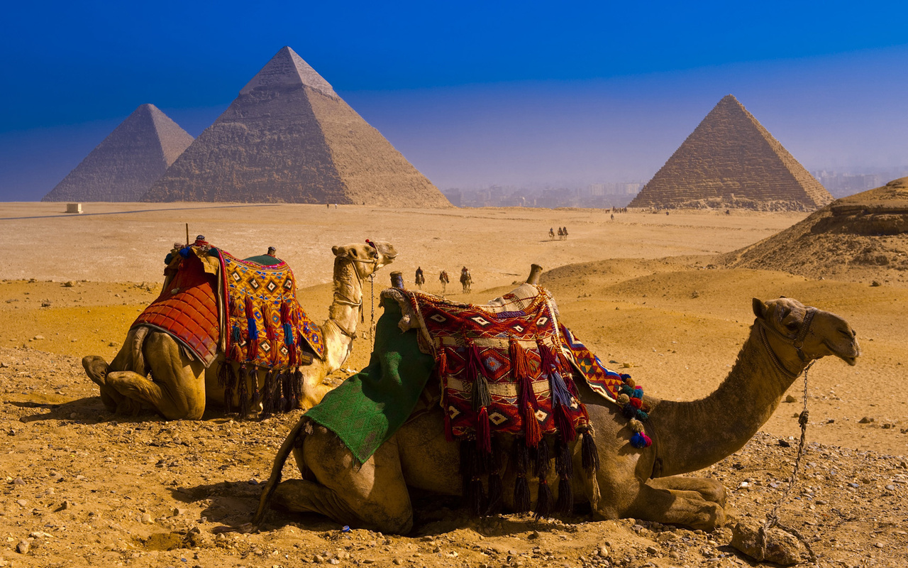 Дешевые авиабилеты и горящие путевки в Египет по низким ценам